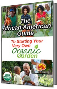 African American Guide to Starting Organic Garden