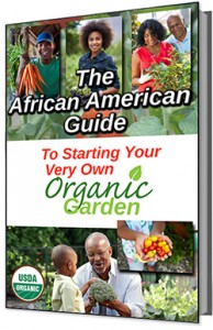 African American Guide to Starting Organic Garden