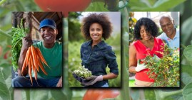 African American Guide to Starting Organic Garden