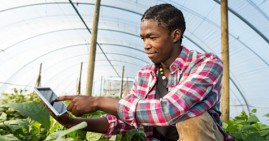 Entrepreneur doing business in Africa