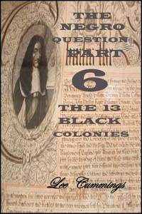The Negro Question Part 6 By Lee Cummings