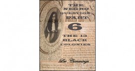 The Negro Question Part 6 By Lee Cummings