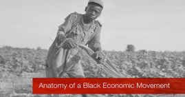 The Anatomy of a Black Economic Movement