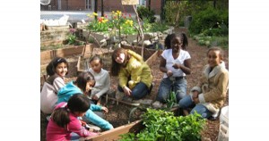 School gardens
