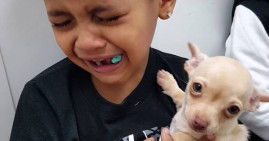 African American child with puppy