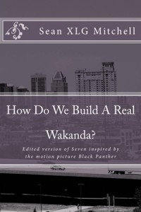 How Do We Build a Real Wakanda