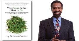 The Grass is First to Go by Orlando Ceaser