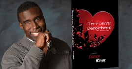 Temporary Demolishment By Steven Wayne