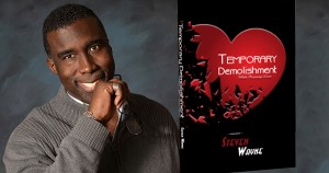 Temporary Demolishment By Steven Wayne