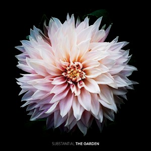 Substantial, the Garden