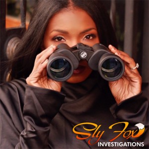 Sly Fox Investigations
