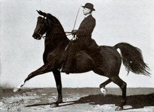 Tom Bass riding horse
