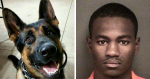 Kelontre Barefield, Black man sentenced to 43 years in prison for killing a dog