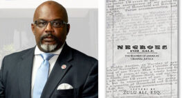 Negroes For Sale by Zulu Ali