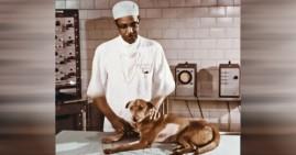 Vivien Thomas