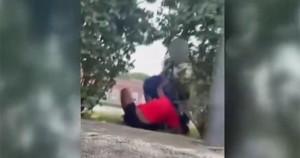 USPS mail carrier beating 10-year-old girl