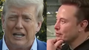 Donald Trump and Elon Musk