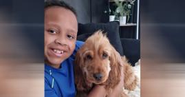 Frankie-Rae Law, 11-year-old boy died in Braintree, England