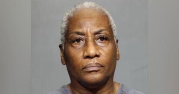 Police Charge, Arrest Woman for Running Over 11 Ducklings in Her Yard