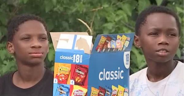 Police Officers Respond to 911 Call About Black Boys Selling Lemonade and Refused to Shut Them Down