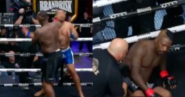 Ray J knock out