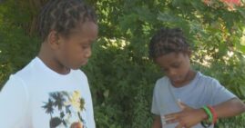 Brothers Sky and Sevyn