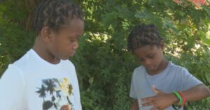Brothers Sky and Sevyn