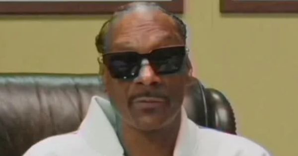 Snoop Dogg Is Hiring an Ice Cream Taster for $10,000 a Month for His Dr. Bombay Brand